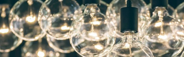 Metsarikkad riigid: bioenergia on oluline osa taastuvenergiast ning varustuskindlusest