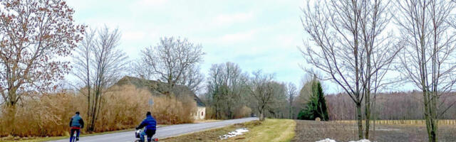 Sarvemees on vaba ja teisi seiklusi elust enesest