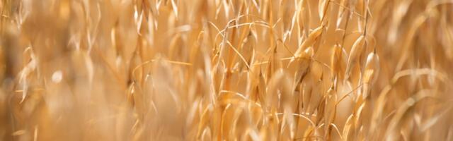 Fazer hakkas tootma toorainet kosmeetikatööstusele