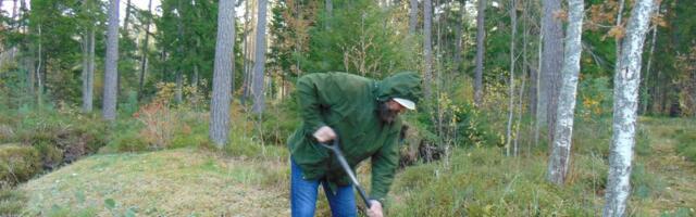 Keeruline lugu paju istutamisega