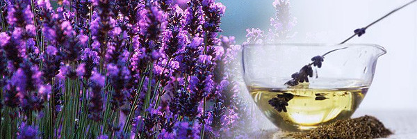 Ravimtaimed, mis aitavad leevendada ärevust