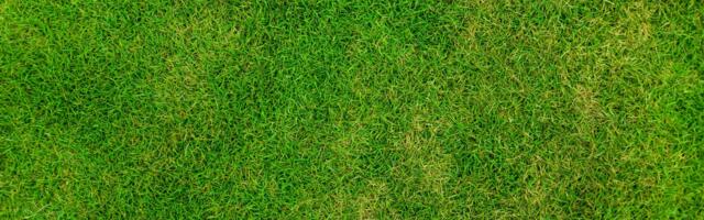 Saarepiigad võitsid turniiri