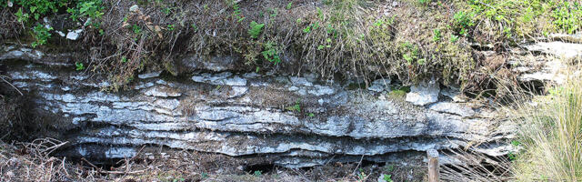 Rohelised Sõnumid: Ürgloodus kui vaikiv kannataja. Lageraiest Palamulla karstialal