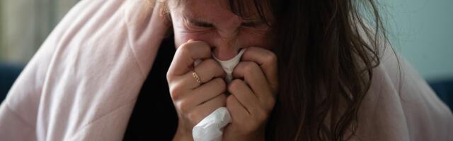 LUGEJA KÜSIB | Kas käsunduslepinguga töötades saab haiguslehte võtta?