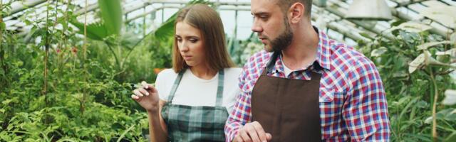 Statistikaamet: sooline palgalõhe Eestis oli mullu läbi aegade madalaim