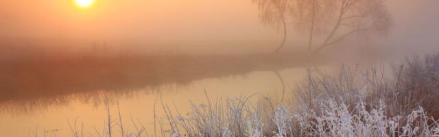 Nädal aitab elu korrastada ja tervendada, kuid lõppeb ootamatu olukorraga