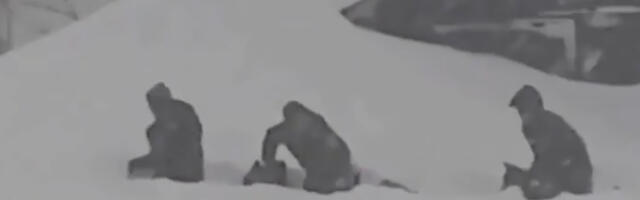 VIDEO: Sahhalini elanikud otsivad lume alt oma autosid