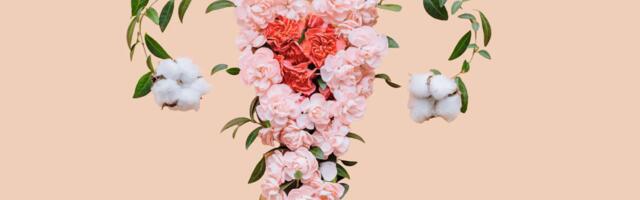 Püha vaatenurk perimenopausile: naise teine kevad