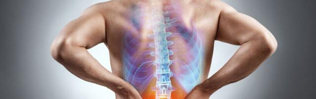 Alaseljavalu puhul tuleb meeles pidada ka punaseid lipukesi