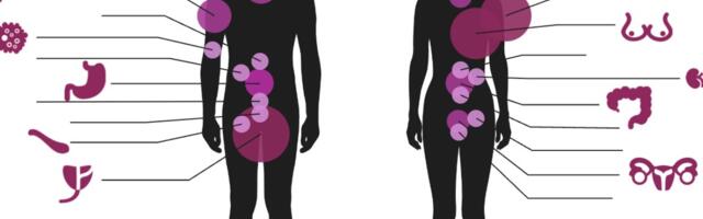 Aeglane, ent kindel edu. Maailm on võitmas sõda vähi vastu