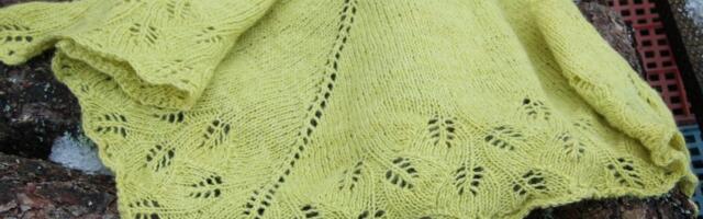 Soe sall kaitseb ja kaunistab