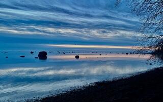 KAAREL ZILMERI VIDEO: tõeline lindude paradiis
