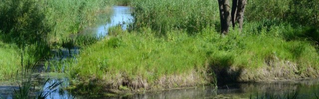 Raul Oreškin: Peipsi paadikanalid