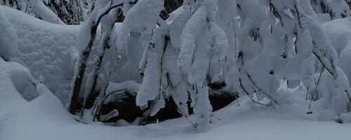 Olukord Rõuge vallas on mõnevõrra stabiliseerunud, kuid elektrikatkestused piirkondades kestavad