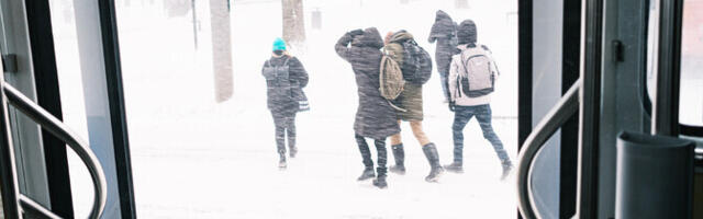 В пятницу синоптики обещают снегопады