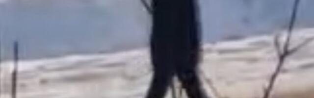 Politsei palub abi Põlva vallas liikuva noore naise leidmisel