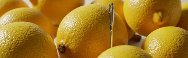 Kui sul on kodus sidrun ja nõel, proovi järele: ilma selleta on võimatu.