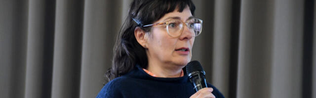 KADI VIIK KUI VALIMISVAATLEJA