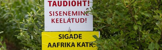 Aafrika seakatku uus laine võib suvel ohustada ligi 50 seafarmi