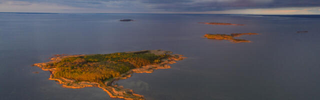 Makroskoop on suvepuhkusel