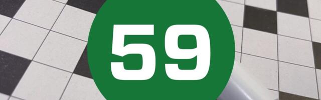 Aine hulga ühik? Lennuvõimetud linnud? Maalehe ristsõna nr 59