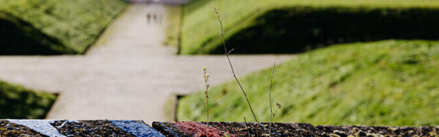 Vene kodanike arv Eestis on viie aastaga kümnendiku võrra vähenenud