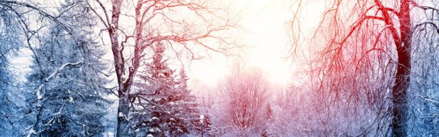 Lumesadu ja libedus on käes! Arstid soovitavad, kuidas libedaga püsti püsida ja missuguste vigastustega minna traumapunkti