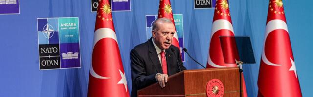 Erdoğan kinkis NATO tippkohtumisel osalenud Euroopa tippjuhtidele graveeritud relvad