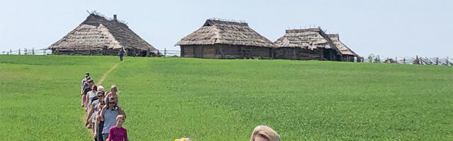 Filmi-Vargamäe on müüki pandud