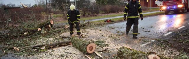 ILMATEADE | Järgnevad päevad toovad vihmale vaheldust, ilm jaheneb