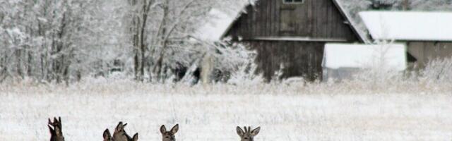 Reede on pilves selgimistega ning sajuta