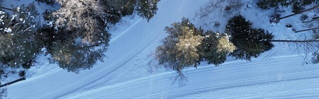 28. Tallinna Suusamaraton toimub täies pikkuses