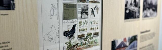 Loodusmuuseum tähistab viimase vanalinnas avatud näitusega pikka teekonda uue majani