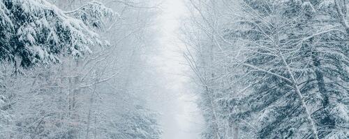 Täna pärastlõunal levib Lõuna-Eestist alguse saav lumesadu aeglaselt Kesk- ja Lääne-Eesti poole, teedel püsib libeduse oht!