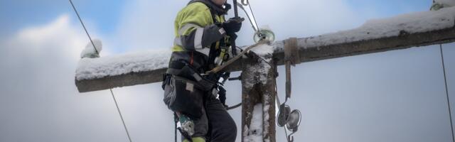 PUUST JA PUNASELT | 11 000 elektrikatkestust aastas, miks ei suuda Elektrilevi digiajastul liine korras hoida?