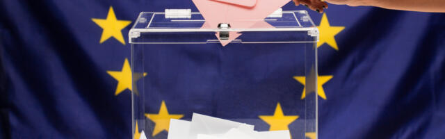 Vaata kuidas hääletasid eurovalimistel viimsilased