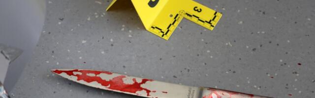 ŠOKEERIV STATISTIKA | 2023. aastal pandi Saksamaal toime üle 2100 kuriteo päevas