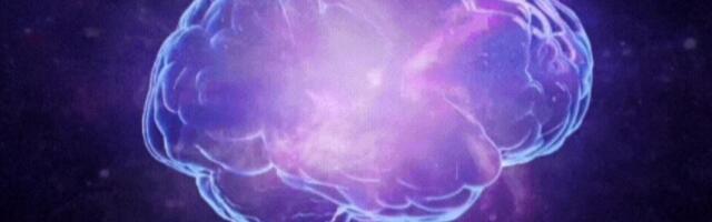 Proviisor nõustab – unikaalne magneesiumipreparaat (aju, mälu, stress, uni, töövõime)