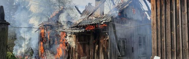 PILDID ⟩ Rotid võisid põhjustasid tulekahju Räpina vallas
