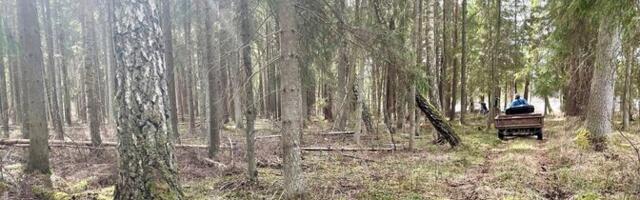 RMK teenis eelmisel aastal 86 miljonit eurot ärikasumit