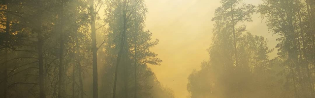 Klooga rabas põleb suurel alal mets
