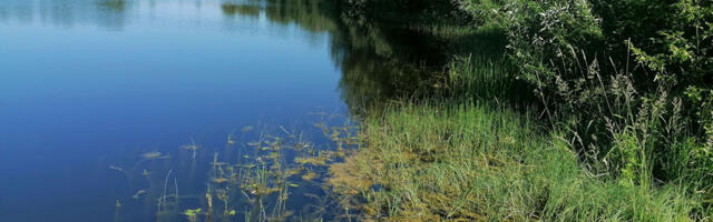 Amet: Vana-Koiola hooldekodu heitvett ei tohi suunata järve