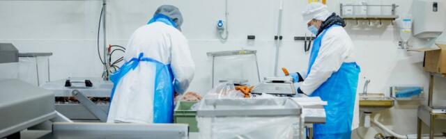 Majanduslangus jätkub