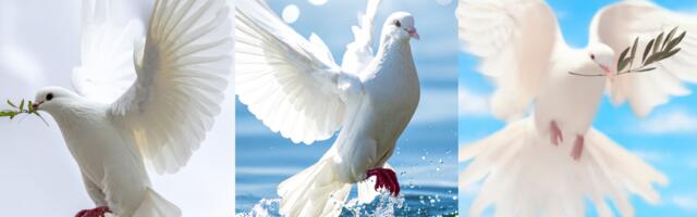 Üks kolmest valgest tuvist kannab sõnumit, mis aitab sul lõpuks sisemise rahu leida