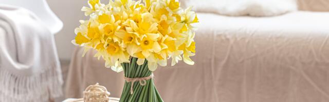 Hiina horoskoop 24. aprilliks: vaata, mida toovad tähed sulle armastuses, töös ja rahas