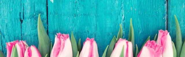 19. aprill: Vähk võib armastuses haiget saada, Neitsi tegemistele seistakse risti vastu