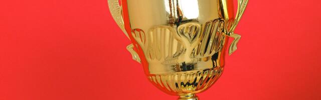 Selgusid Pärnumaa parimad miniettevõtjad 2023