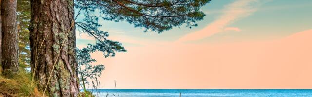 Nädalahoroskoop : 21 - 27. juuli