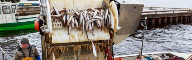 Kalandusettevõtted küsisid PRIA-lt üle poole miljoni euro koroonatoetust