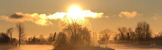 Sünoptik Kairo Kiitsak: eeloleva nädala jooksul on rohkem päikesepaistet